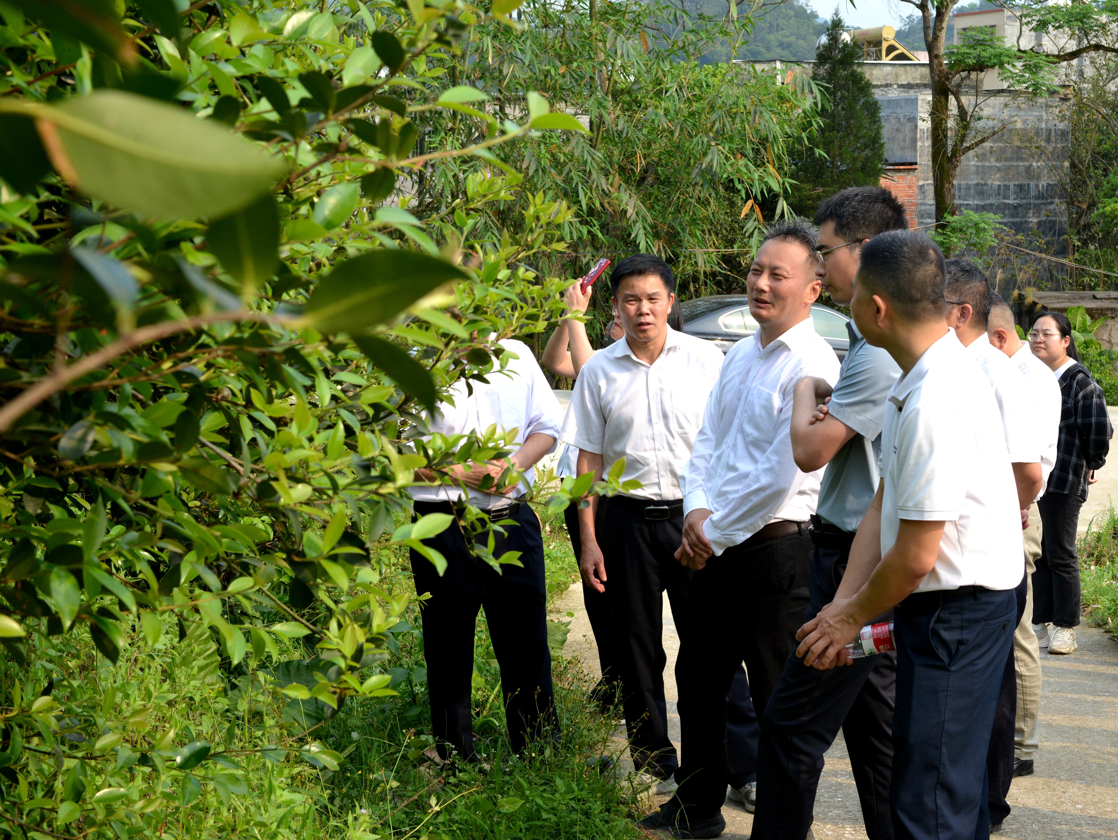 武岳彪考察合水鎮油茶加工基地2.JPG