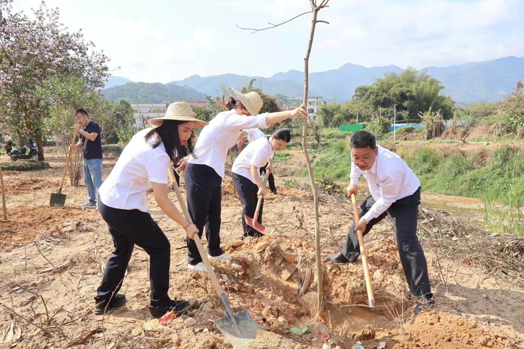 地環公司于羅定市開展主題黨日暨植樹活動黨員齊心協力種植樹苗.jpg